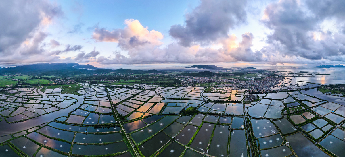 Good farmland under rosy dawn