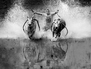 Grip bull tails in sprint