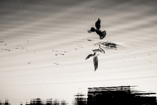 в полете отражения