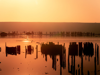 люди и столбы