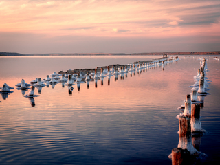 летняя зима 1