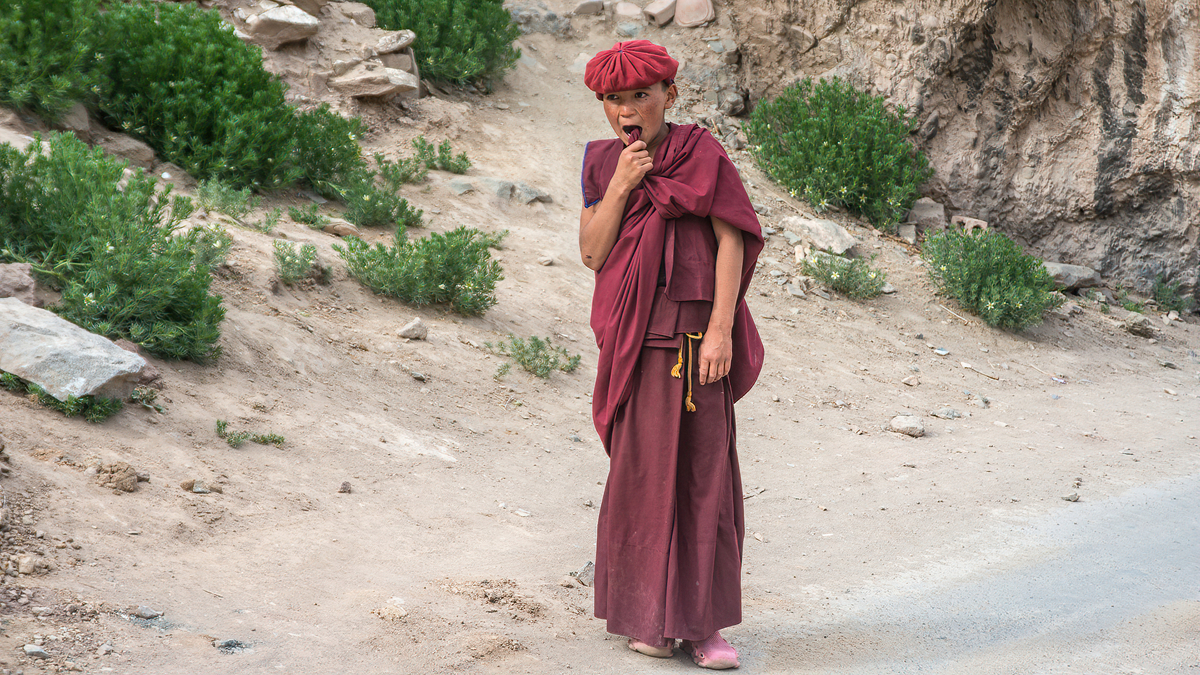 Pondering Monk