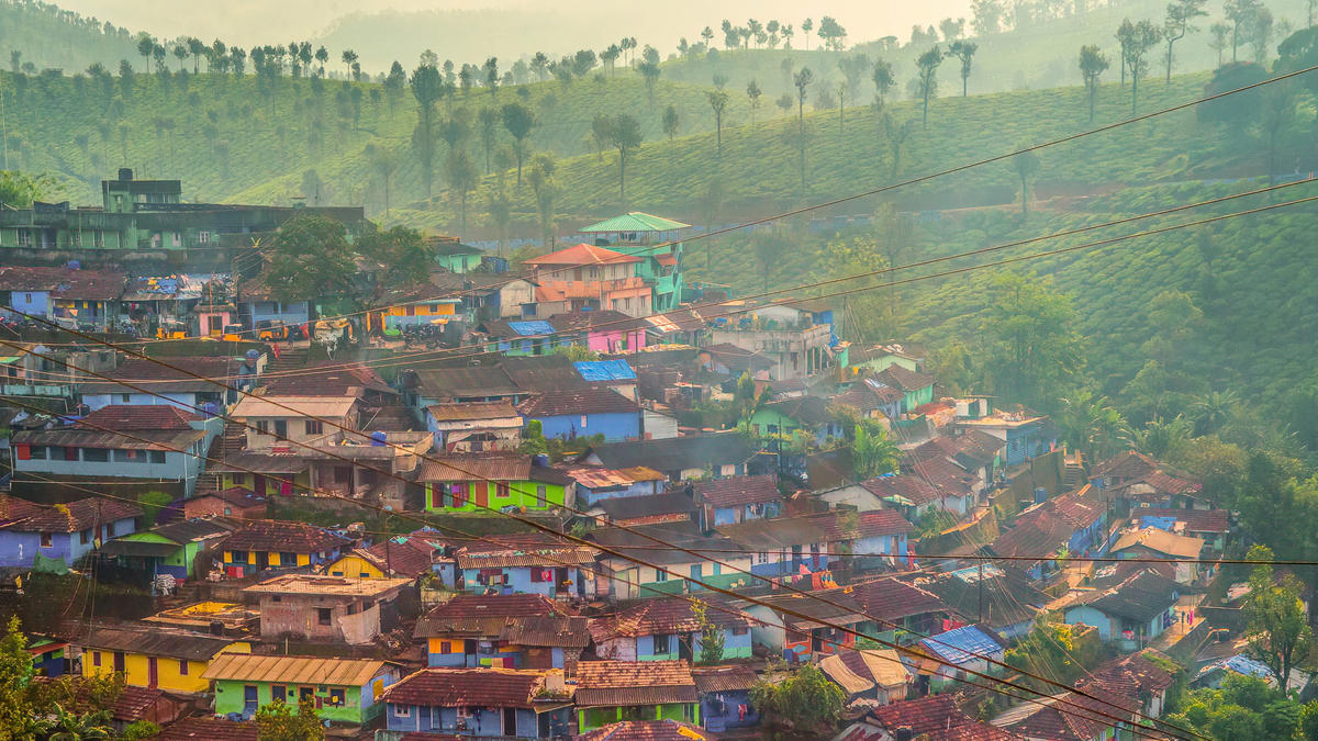 Houses in Tea Estates