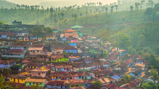 Houses in Tea Estates