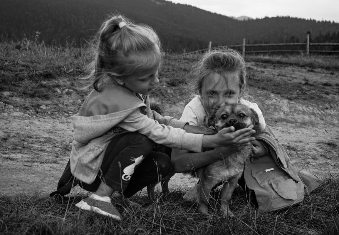 «Вірність та щирість»