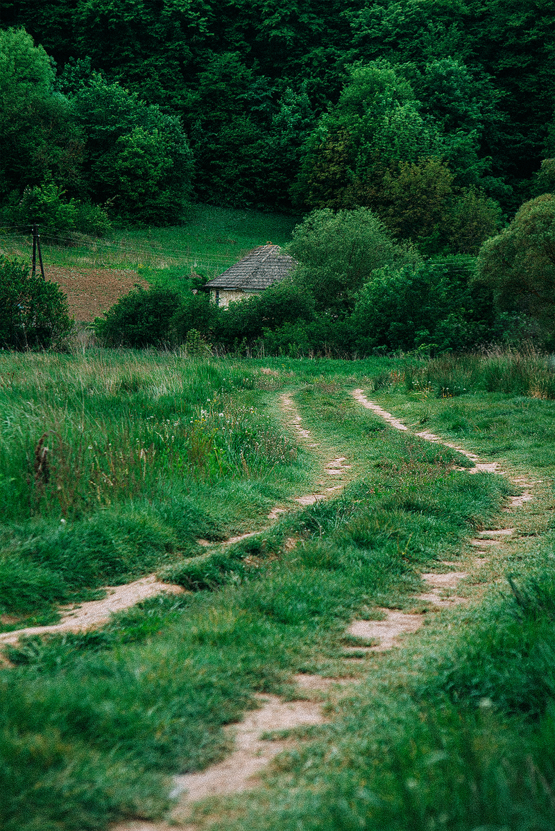 Дорога до рідної хати.