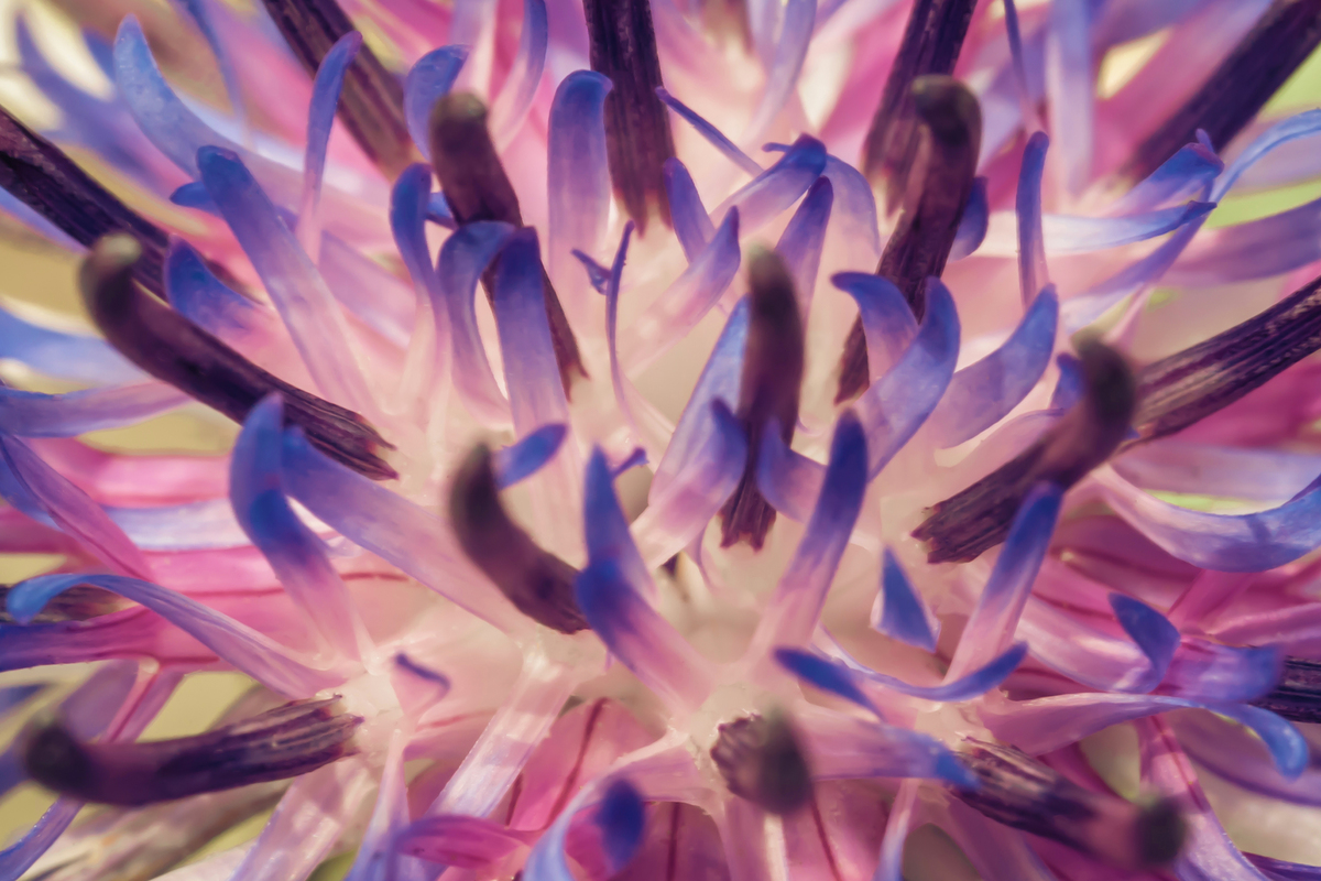 Калейдоскоп