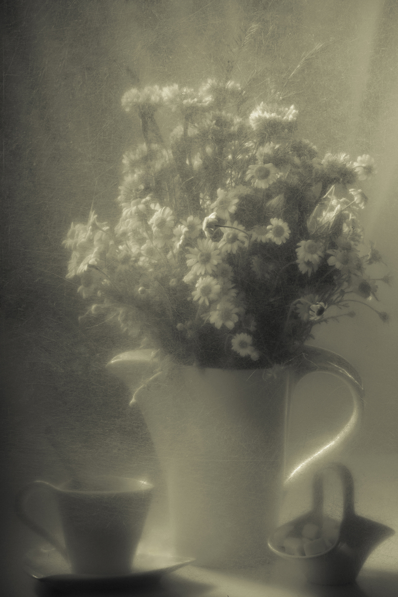 Ромашковий настрій