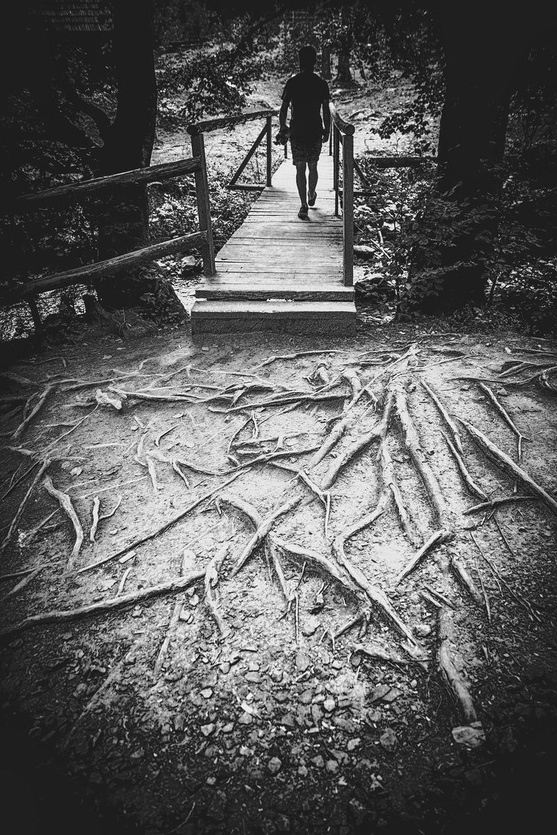 Місточок життя