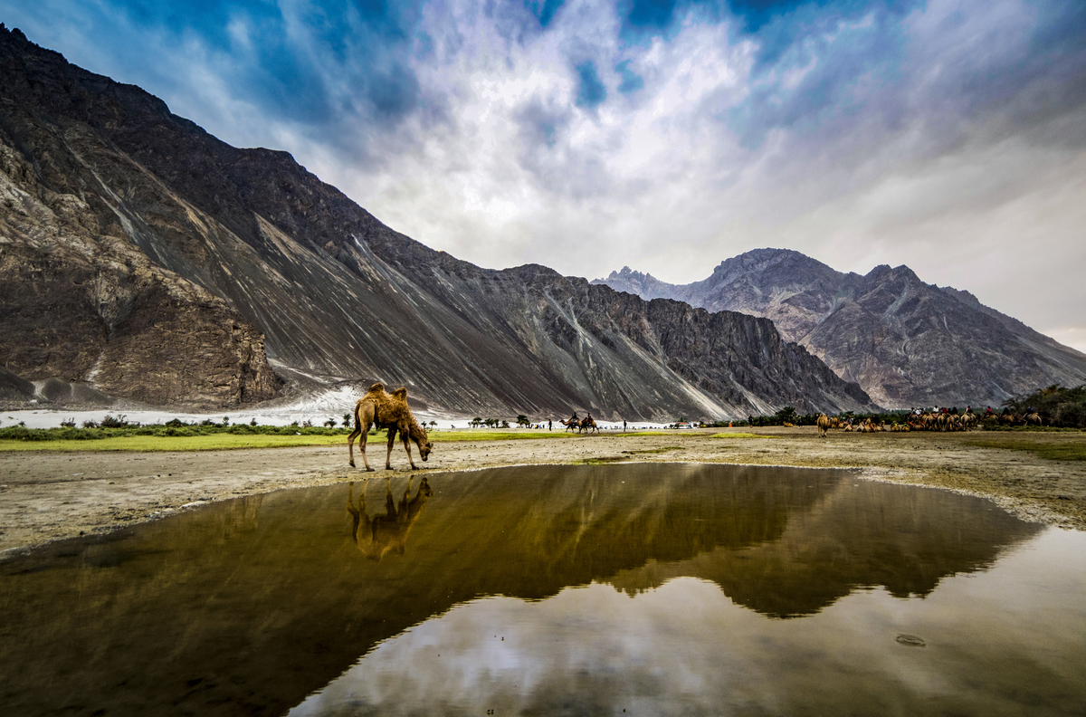 Nubra Valley Colour