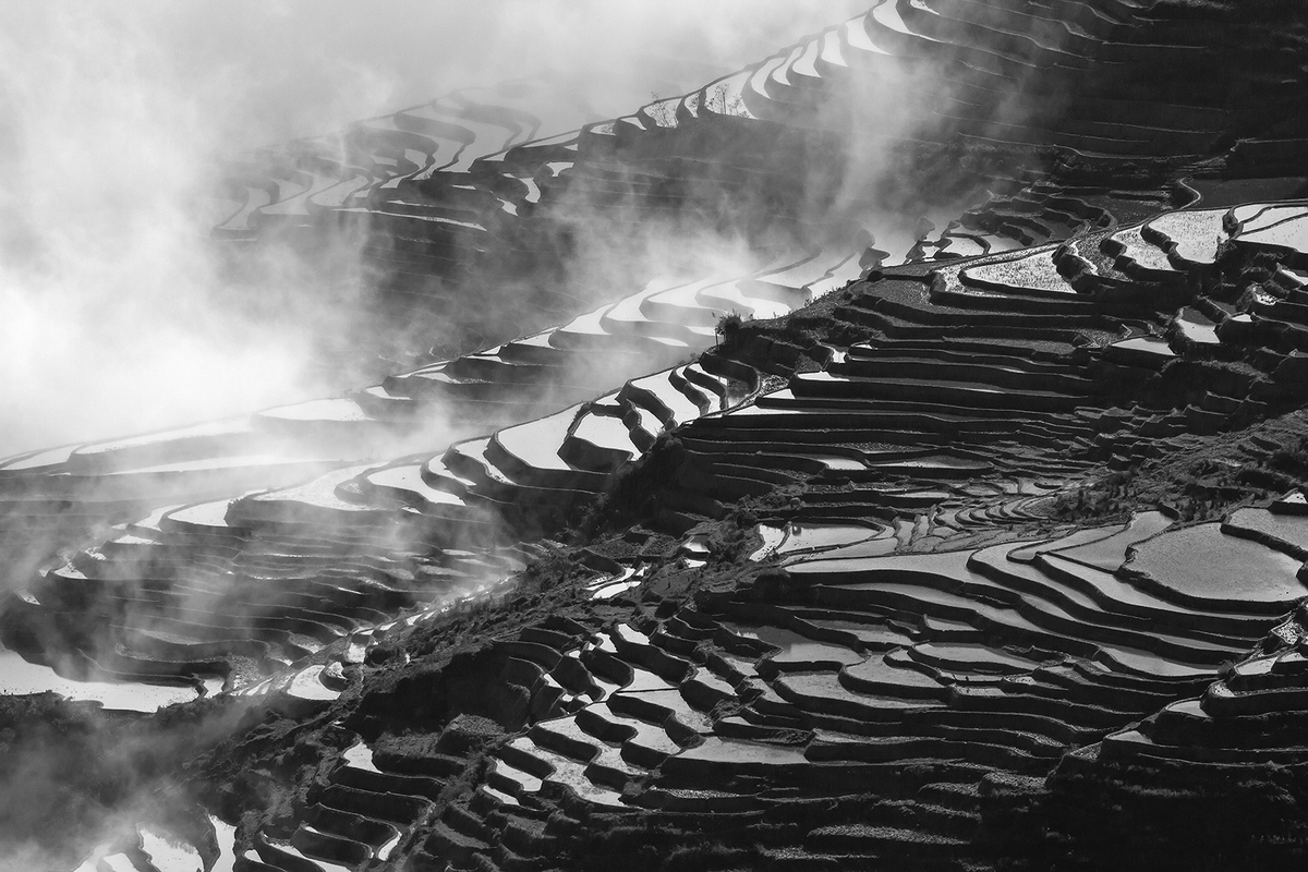 Rice terraces in black