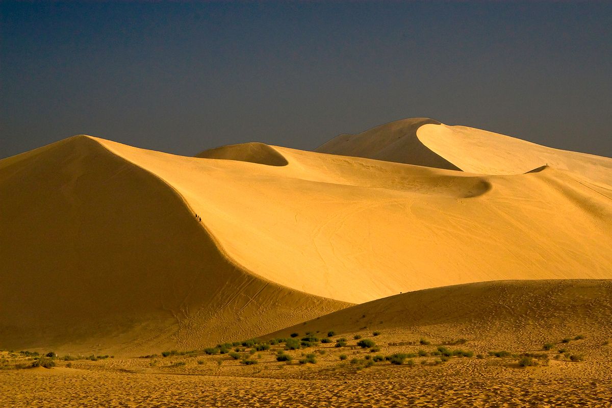 Sanddunes 2