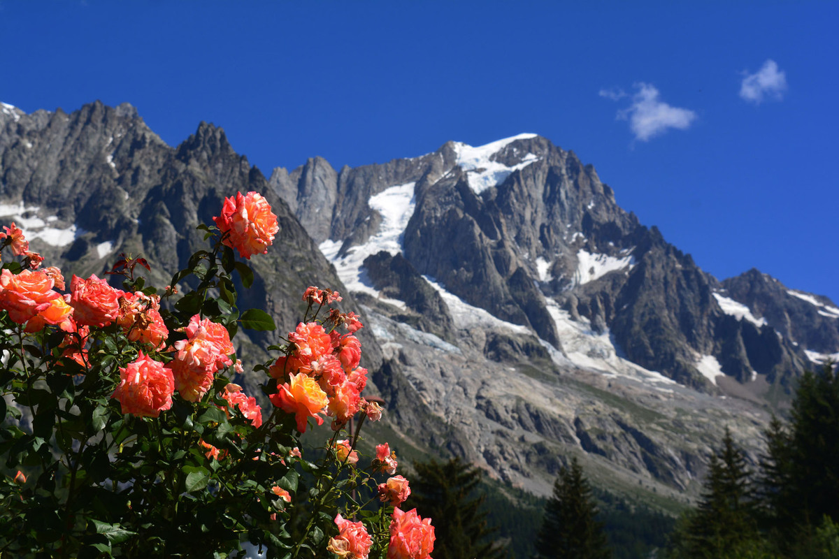 Les grandes Jorasses