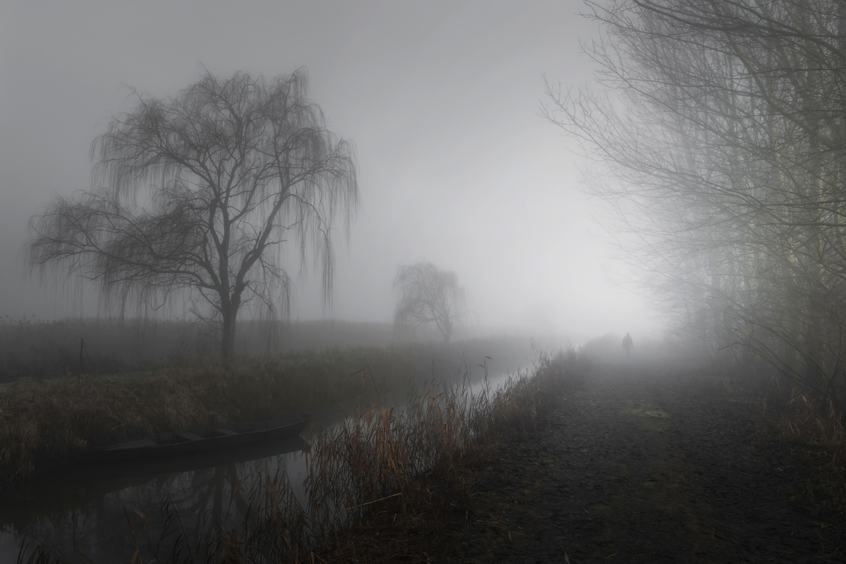 Il cacciatore di palude