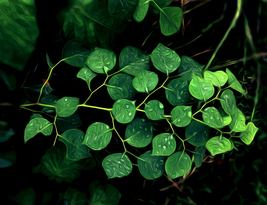 impression on leaves