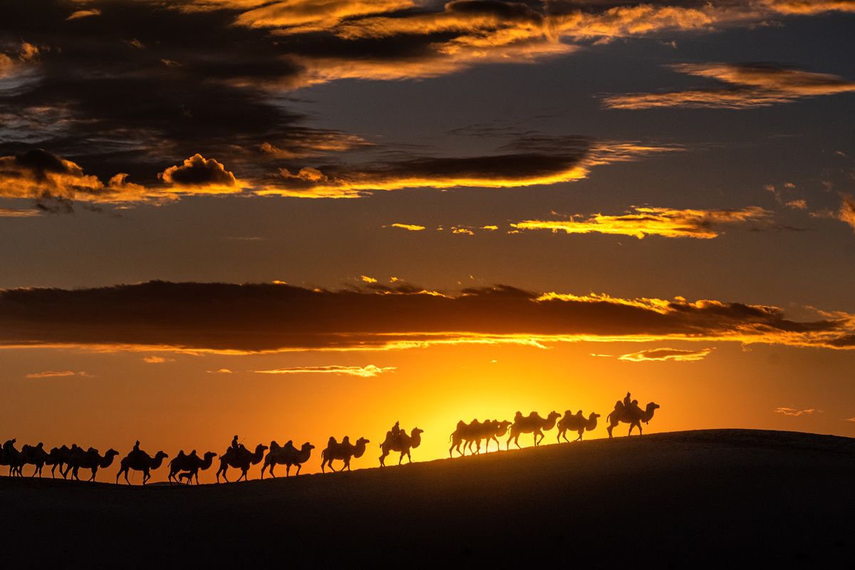 Camel bell came from the horizon 1