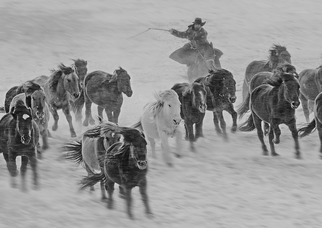 Zunhui Lei  / Against wind and snow