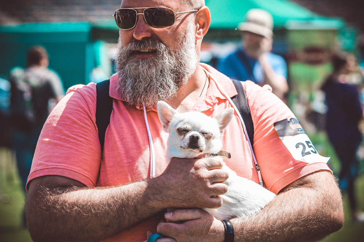 конкурсанти...