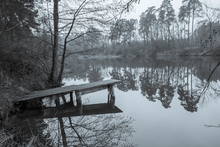 весняна безтурботність...