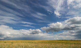 синьо жовте...
