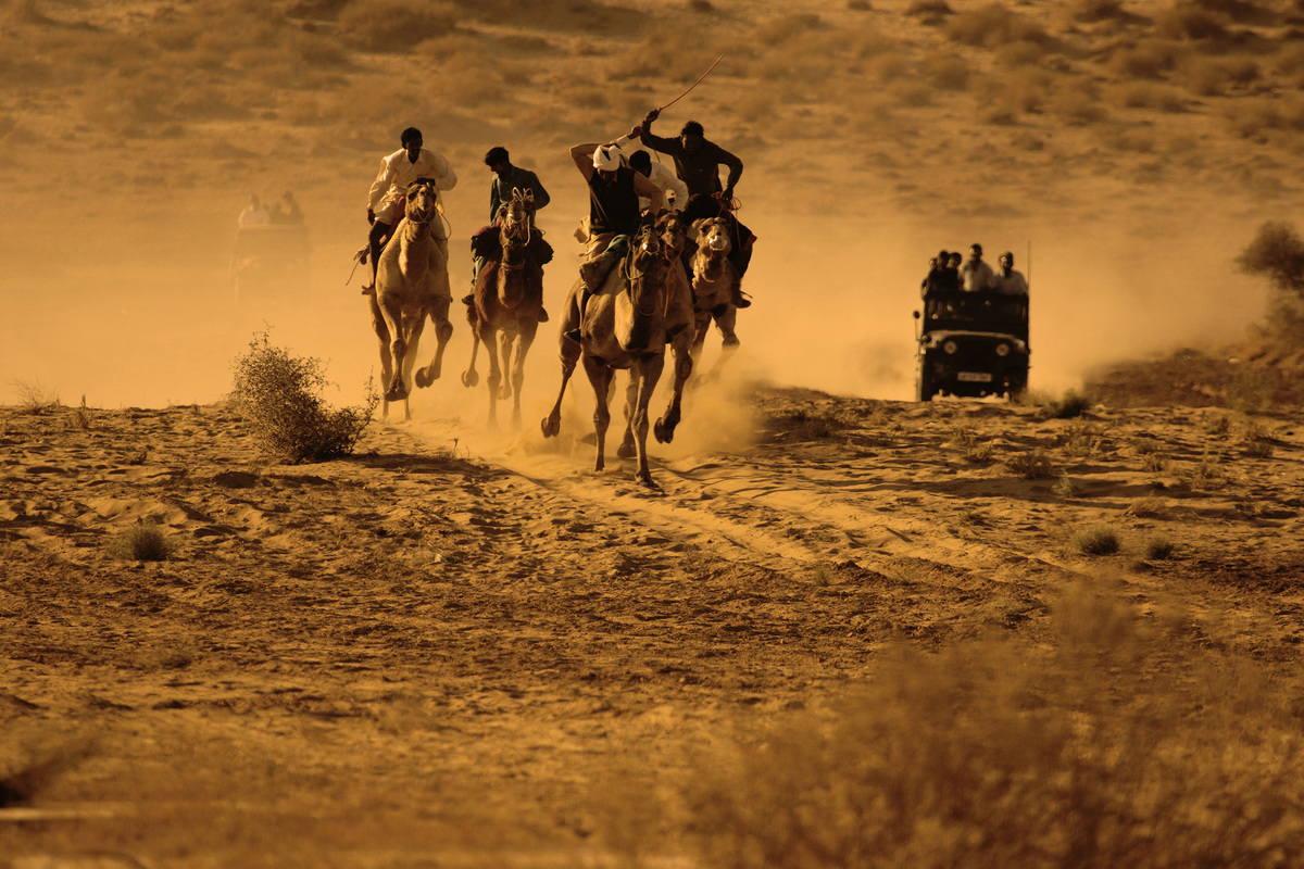 CAMEL RACE AT JAISALMER  FESTIVAL