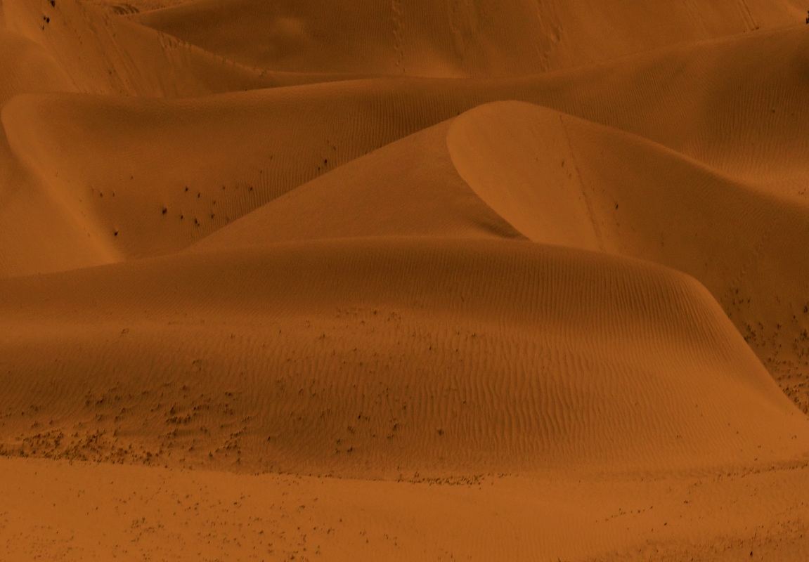 SANDDUNES AT RAJASTHAN