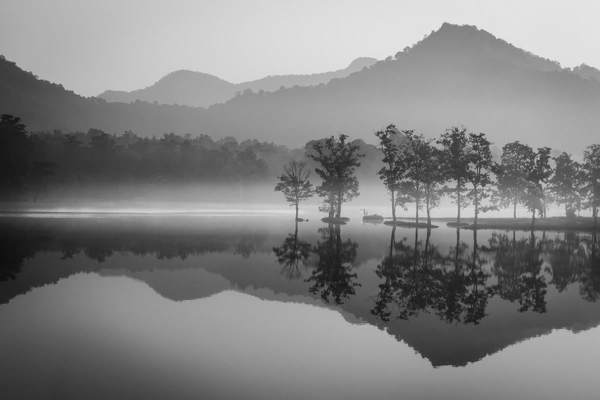 EARLY MORNING FISHING