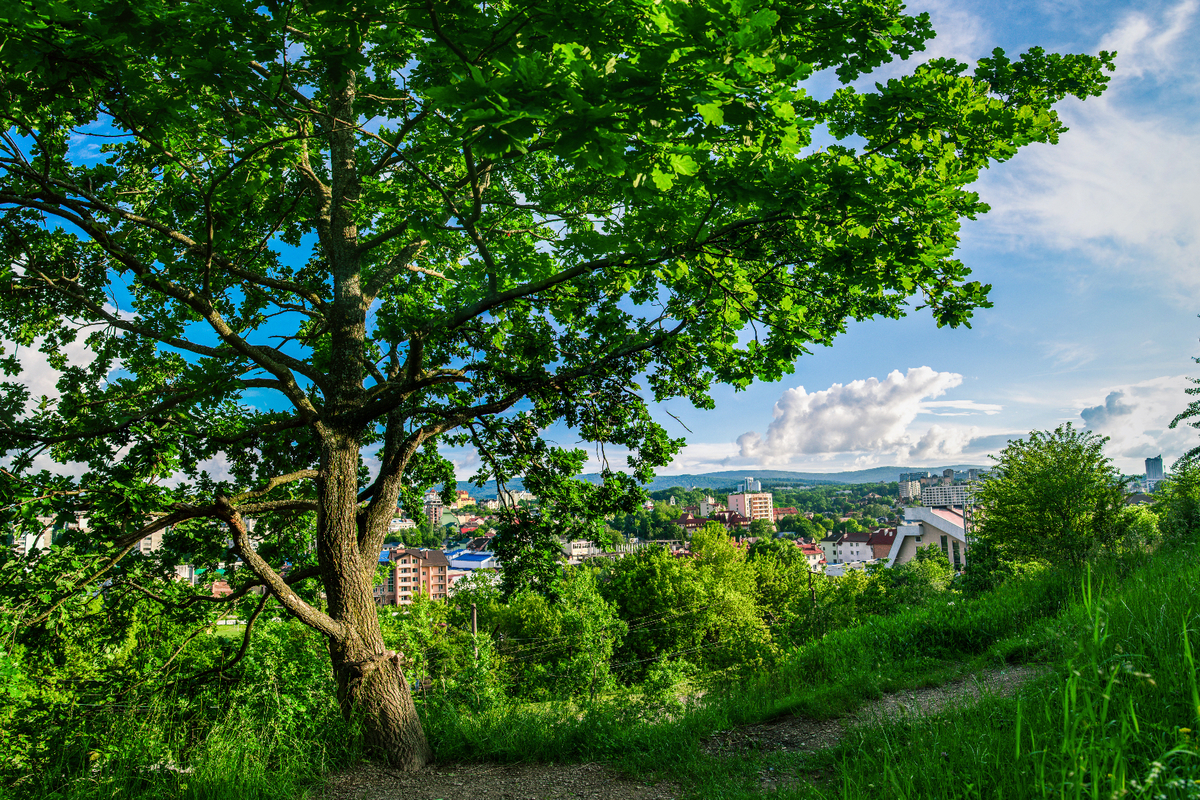 Природа Трускавця