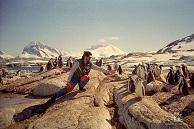 Якось в Антарктиці