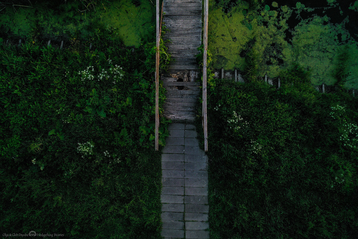 Море вечірніх трав