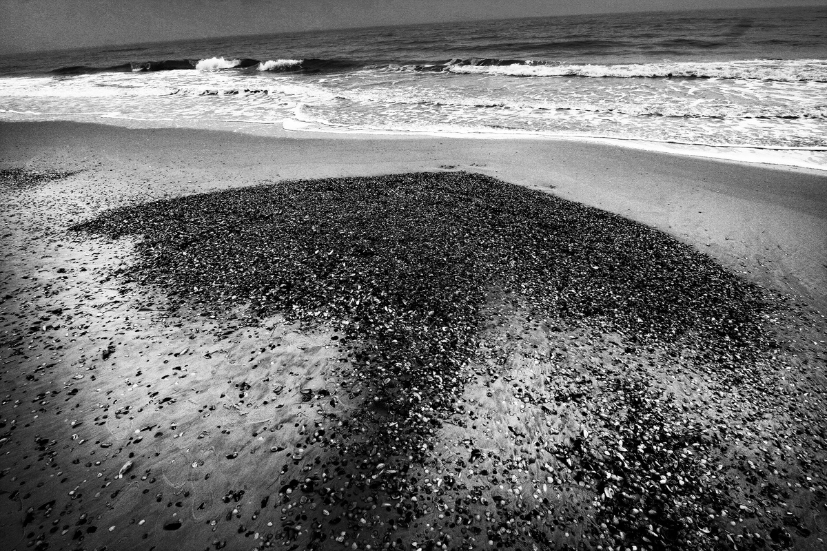 направление