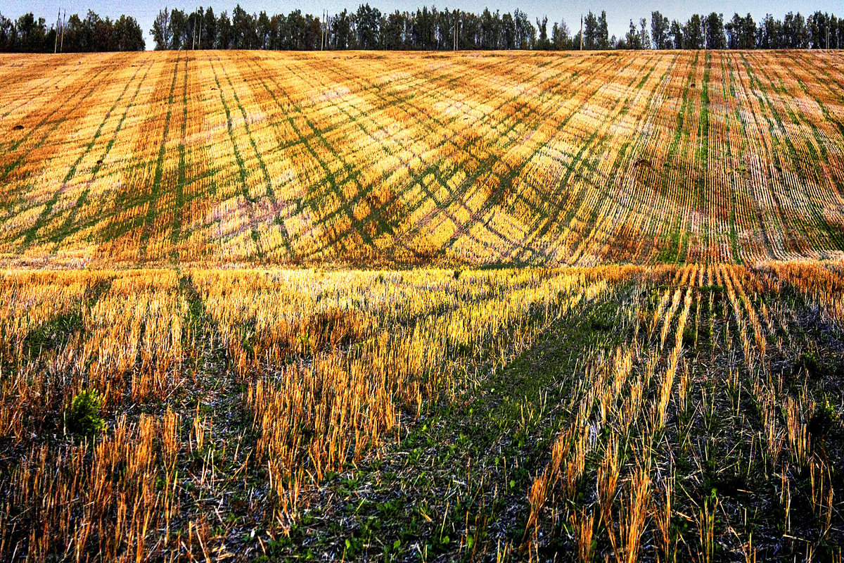 следы цивилизации
