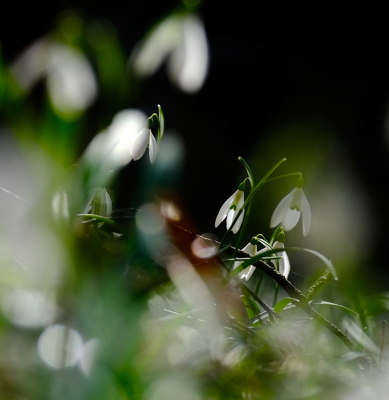 Десь в паралельному світі