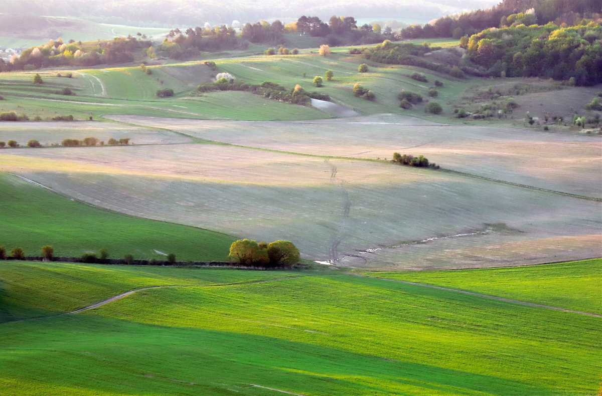 Моя стежина у полях