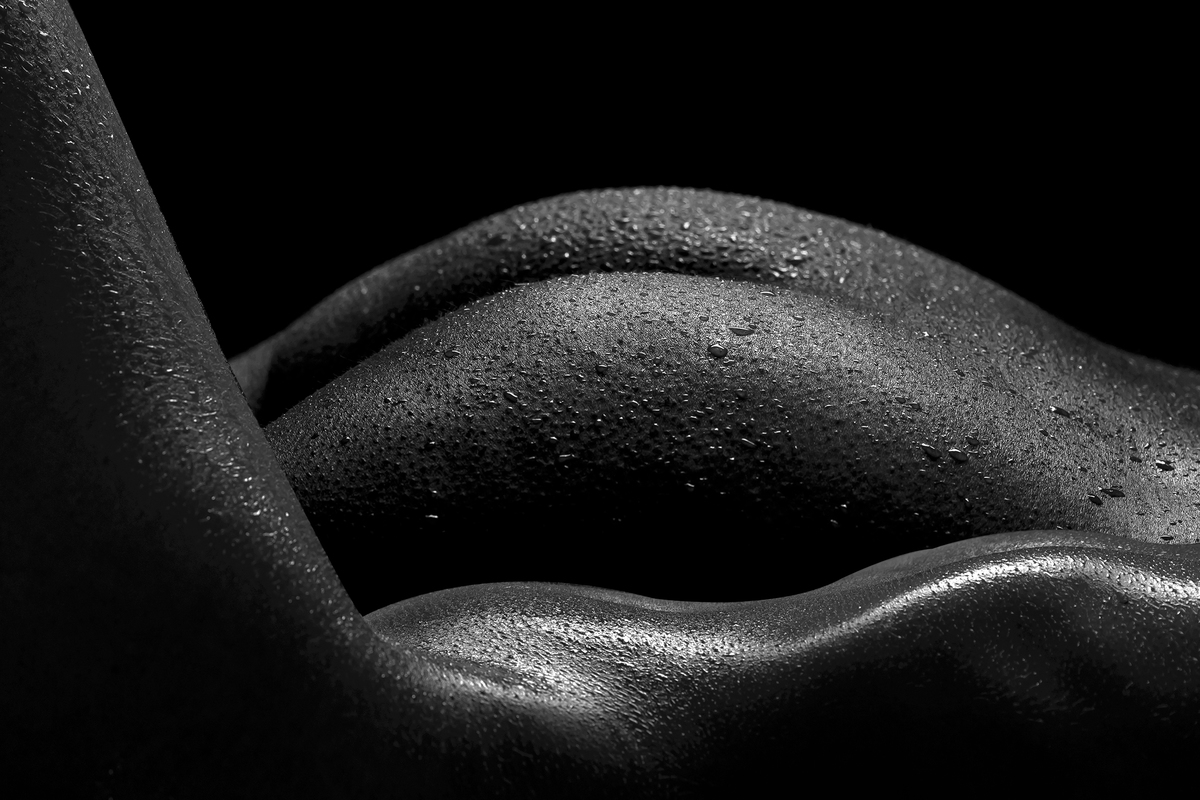 Curves of back and top