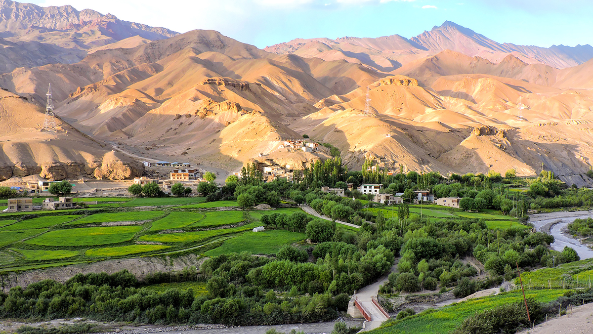 FIFTY SHADES OF BROWN LADAKH