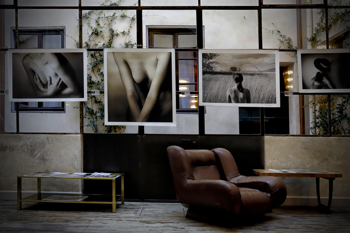 The study of an artist