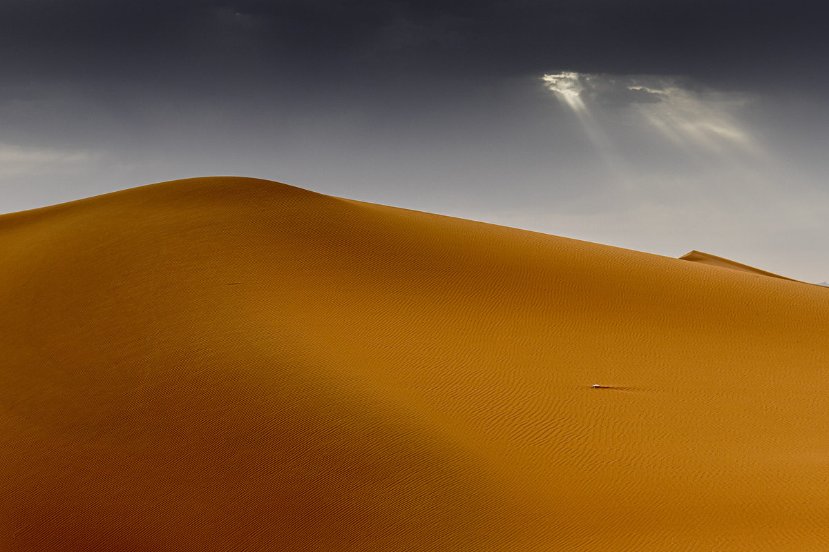 Morning in the desert