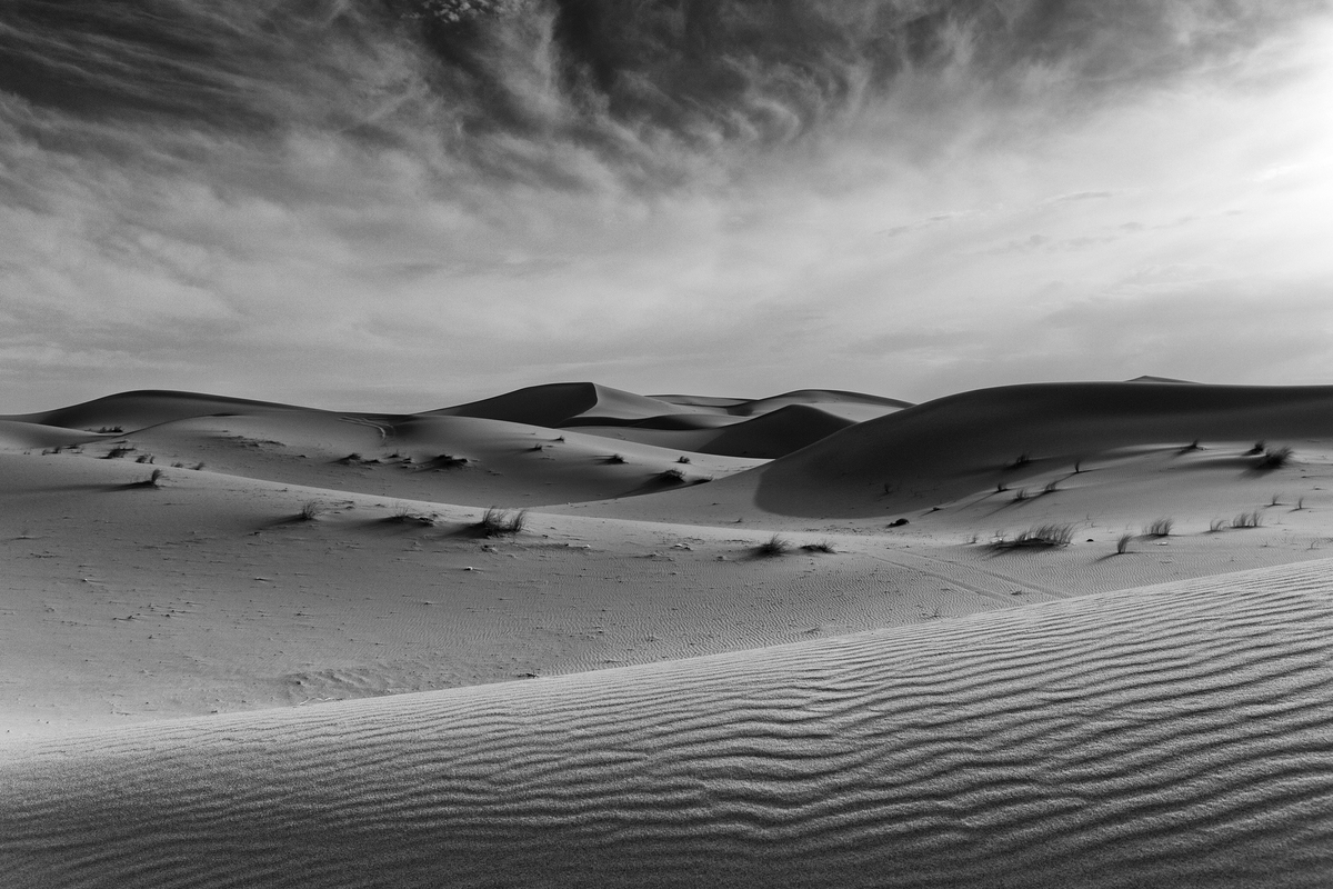 Sahara in black & white