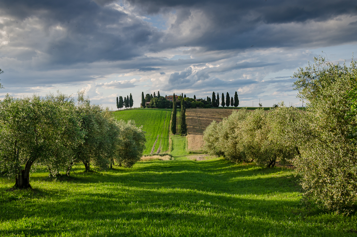 The Gladiator's House