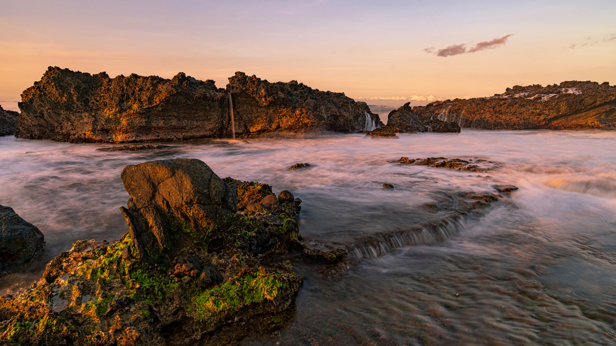 the coral reef and waves