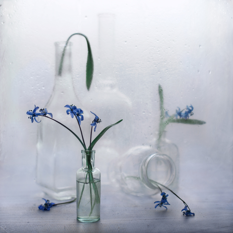 Холодное пробуждение