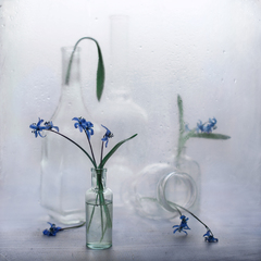 Холодное пробуждение