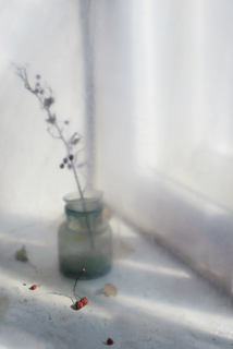 туманное утро