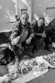 Купи гриба.