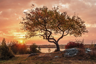 Схід сонця.