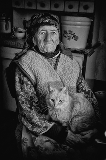 Замість онука кіт