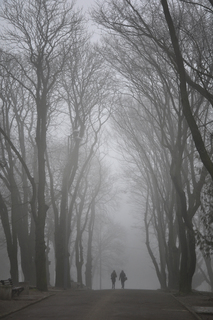 Двоє в тумані