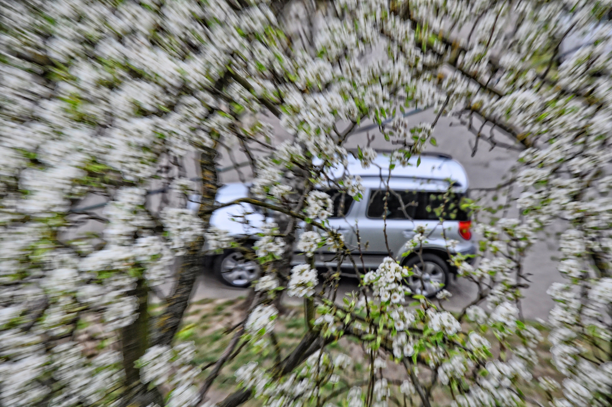 Подих весни