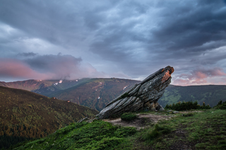 Кам'яний птах